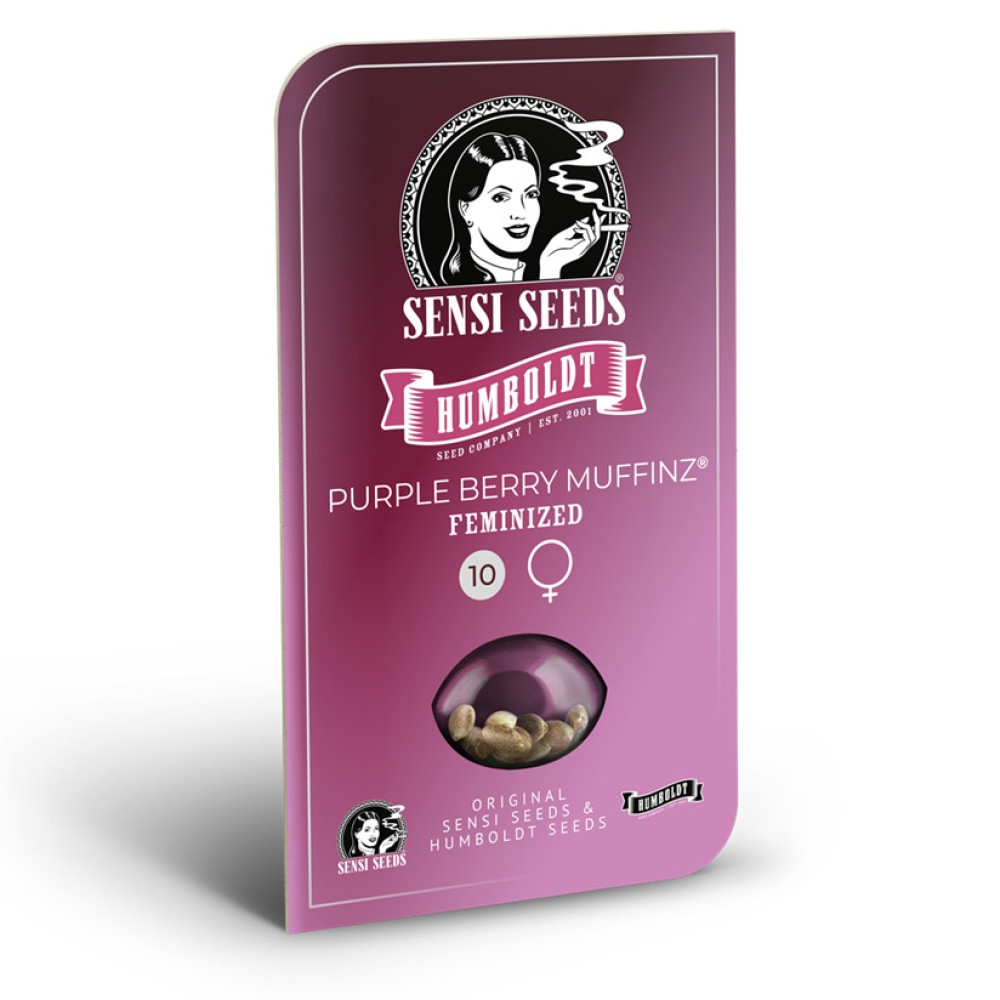 Purple Berry Muffinz Feminisiert | Hanfsamen diskret bestellen